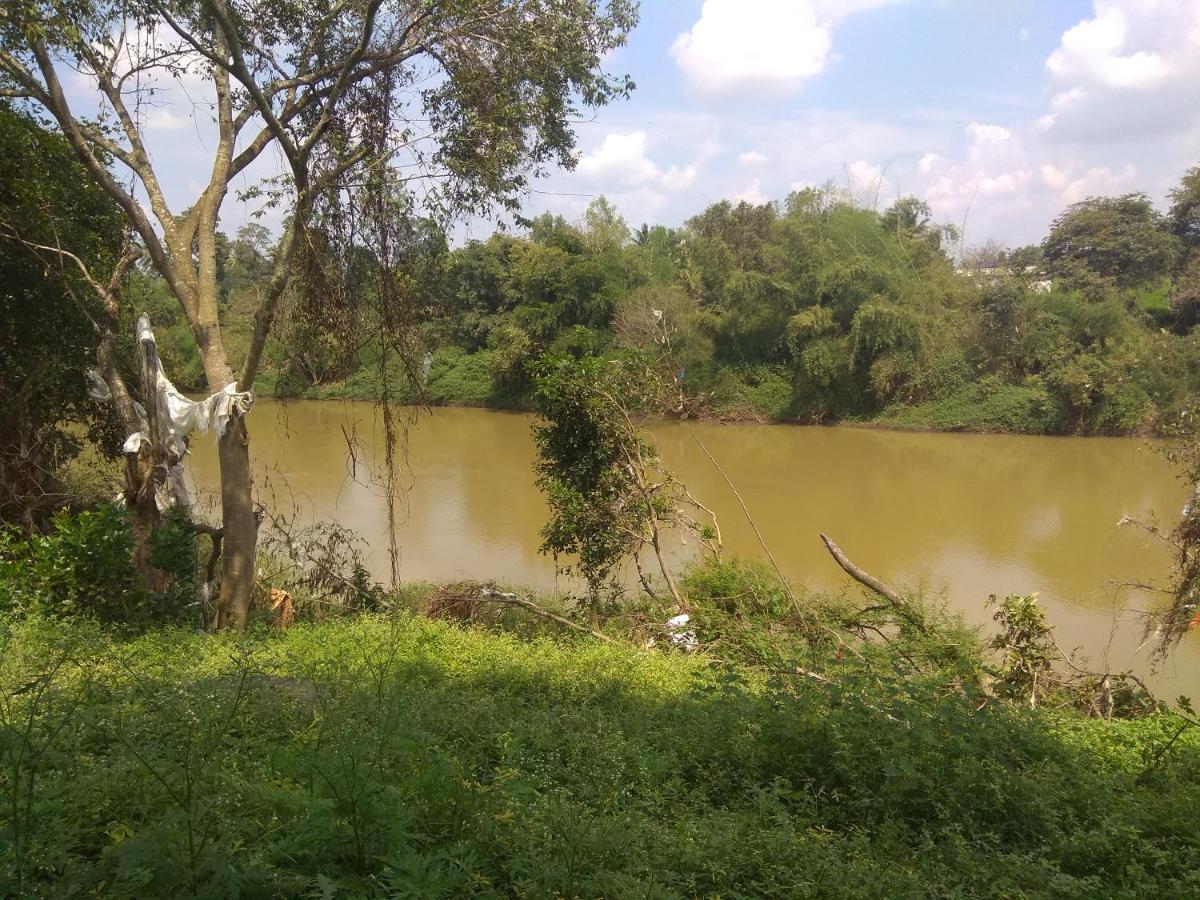 Dreams River View Homestay Coorg Kushālnagar Exterior foto