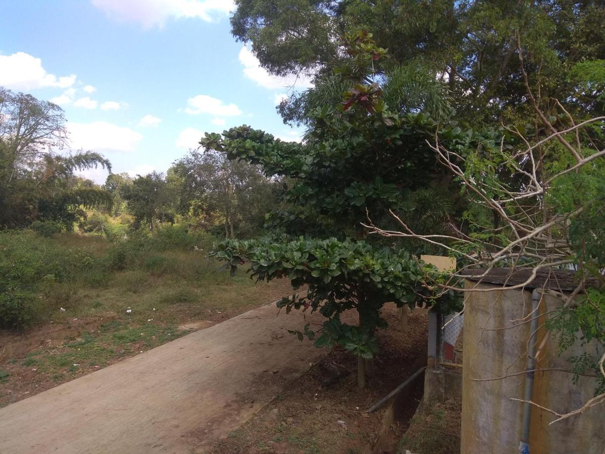Dreams River View Homestay Coorg Kushālnagar Exterior foto